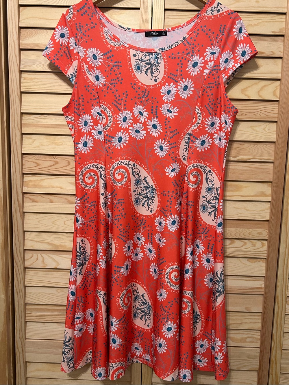 Lilly Coral Paisley & Daisy A-Line Dress